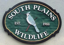 Lubbock summer camps